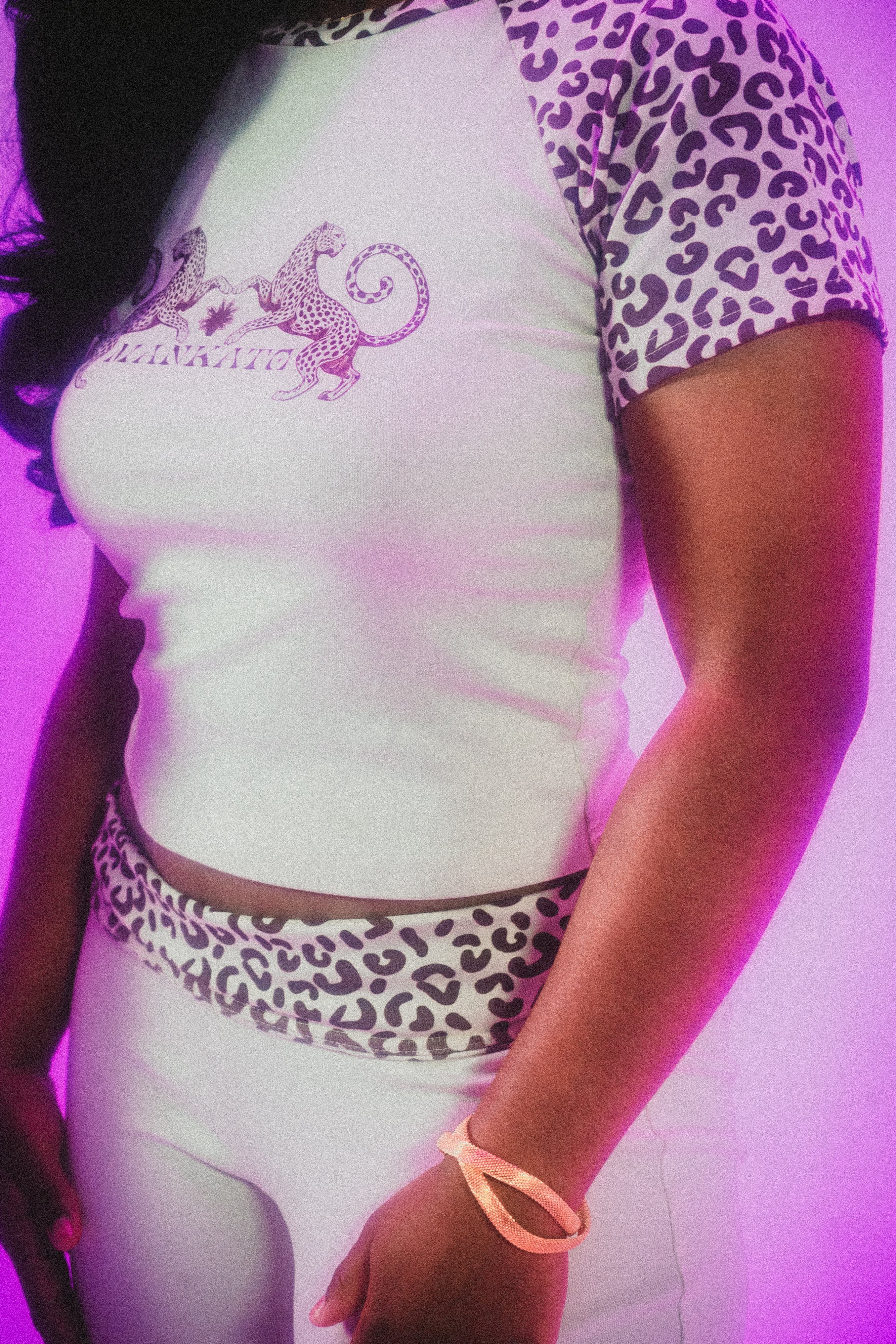 Leopard set